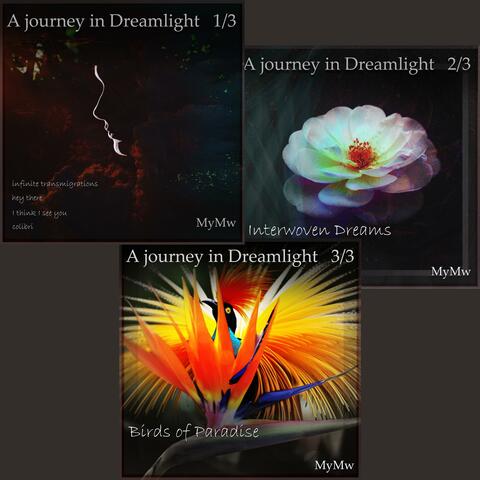 A journey in Dreamlight