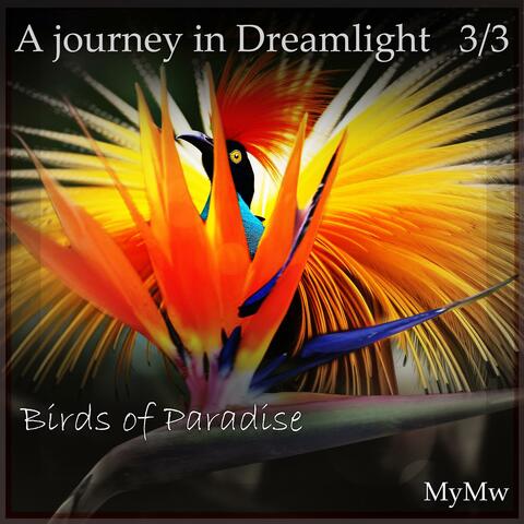 birds of paradise: a journey in dreamlight 3/3