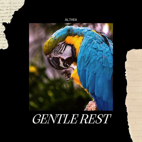 Gentle Rest
