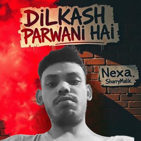 Dilkash Parwani