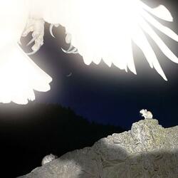 Terms & Conditions Unclear, I’m Now Emotionally Attached to You