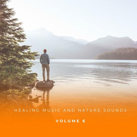 Healing Music And Nature Sounds Vol. 6