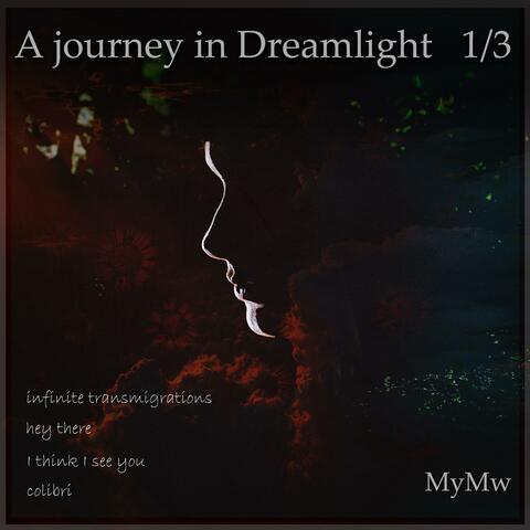 transmigrations: a journey in dreamlight 1/3