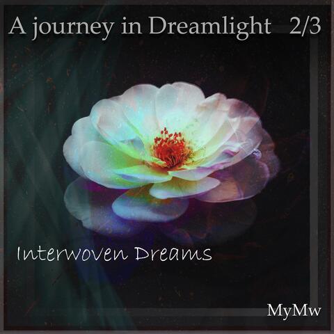 interwoven dreams: a journey in dreamlight 2/3