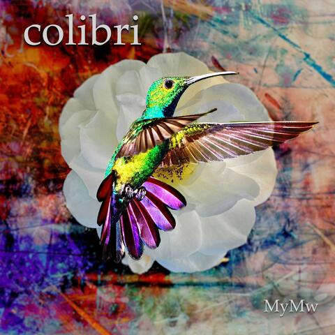 Colibri