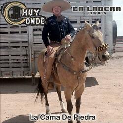Andan Diciendo