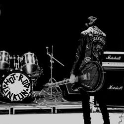 JUST SAY D.A.N.Z.I.G