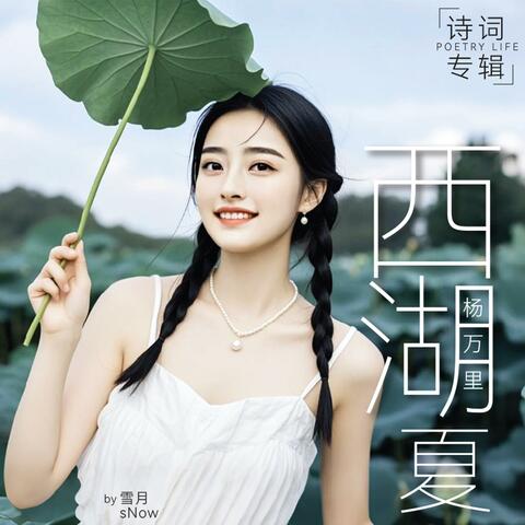 西湖 夏