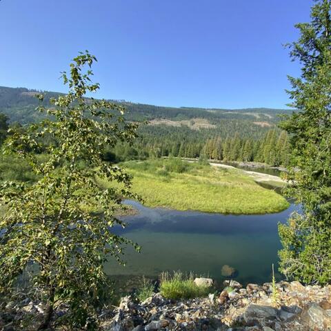 The Sweet Shuswap Stream