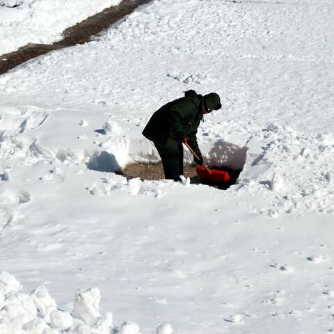 Shovel My Life Away