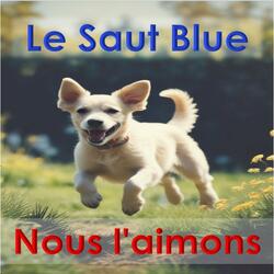 Le Saut Bleu
