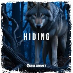 Hiding