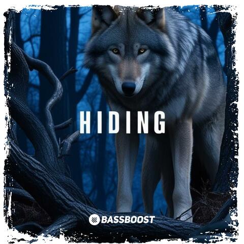 Hiding