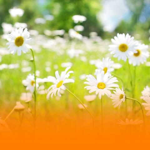 Nature Inspired Ambient Healing Music With Soothing Piano For Deep Relaxation And Restorative Sleep