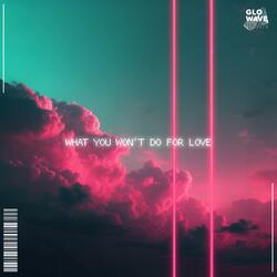 What You Won't Do For Love