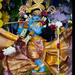 Khatu Shyam ki Kripa