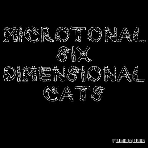 Microtonal Six-Dimensional Cats