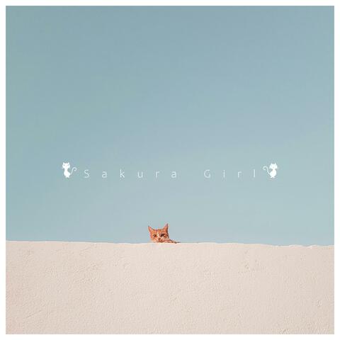 Stray Cat