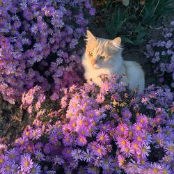pretty little baby