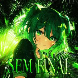 SEM FINAL