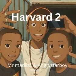 Harvard 2