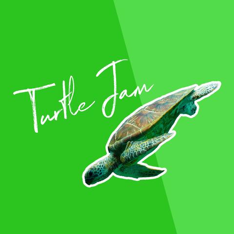 Turtle Jam 4