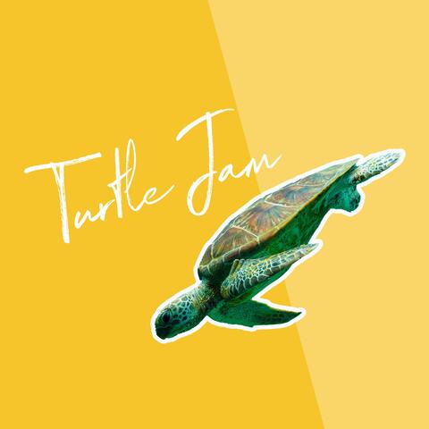 Turtle Jam 3