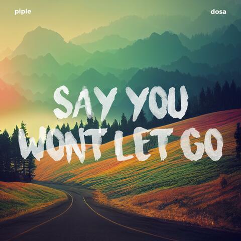 Say You Won't Let Go