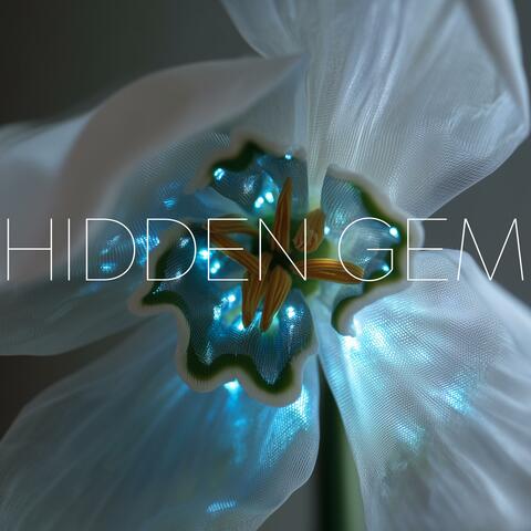 Hidden Gem