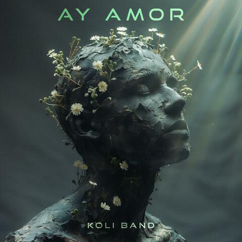 Ay Amor