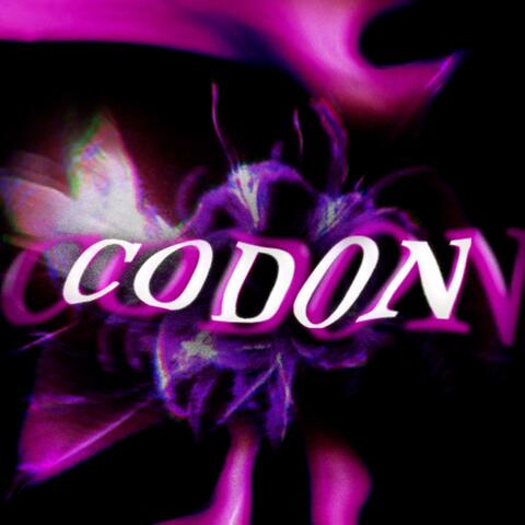 CODON