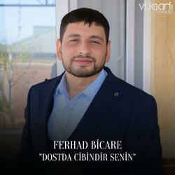 Dostda Cibindir Senin