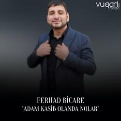 Adam Kasib Olanda Nolar