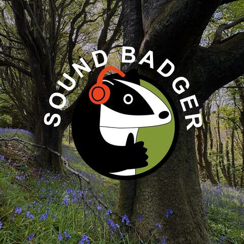 Woodland Sounds, Spring in Cornwall