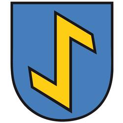 Böhringer Narrenmarsch