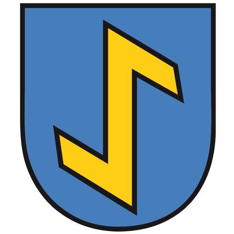 Böhringer Narrenmarsch