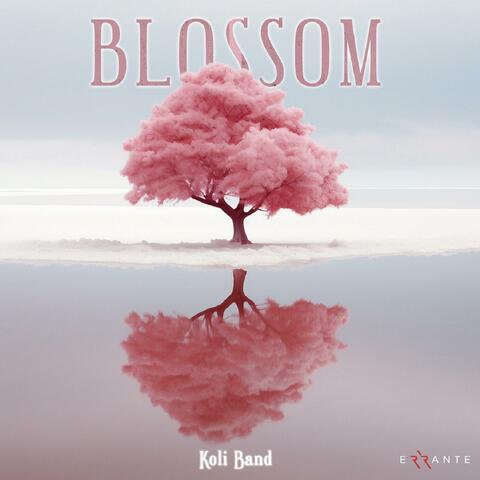 Blossom