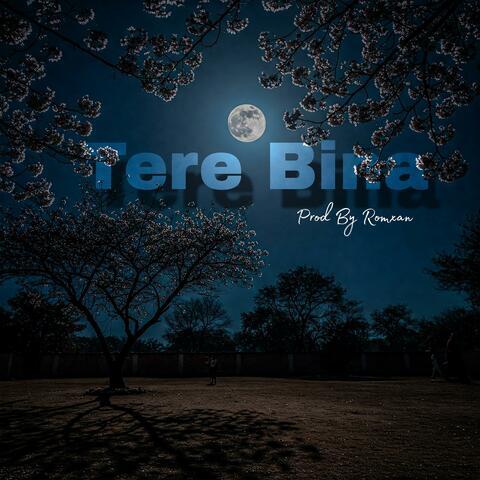 Tere Bina