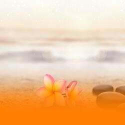 Healing Wellness Music For Stress Relief And Deep Emotional Balance