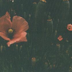 come closer