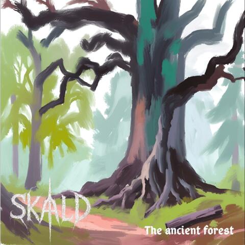 The Ancient Forest