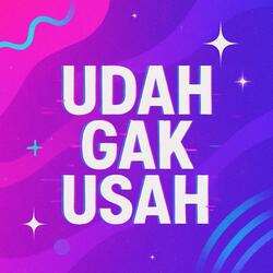 Udah Gak Usah