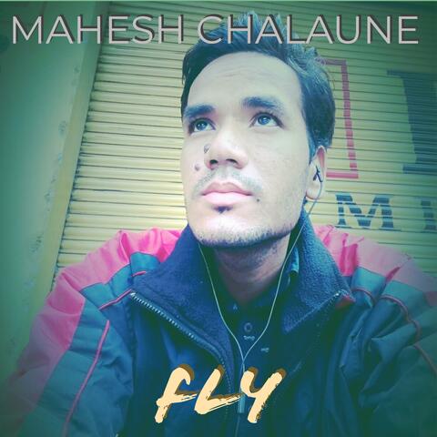 Fly