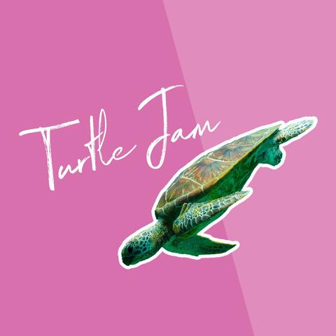 Turtle Jam 5