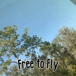 Free To Fly