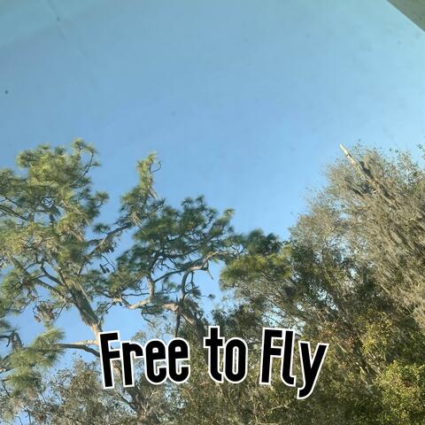 Free To Fly