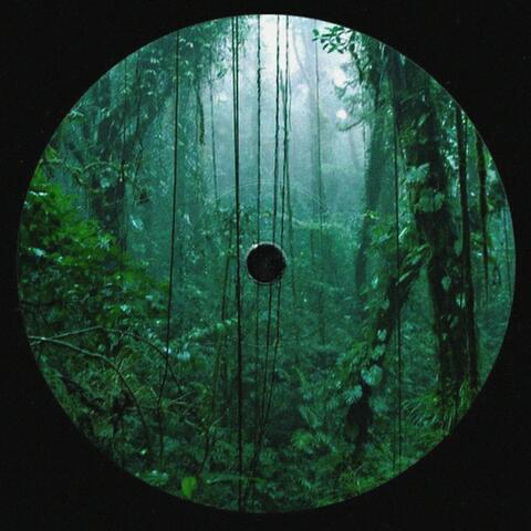 weird_disc?