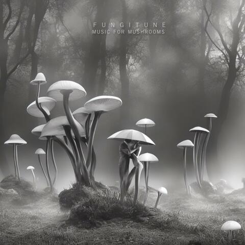 Music for Mushrooms