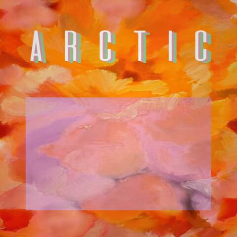 arctic (Demo)