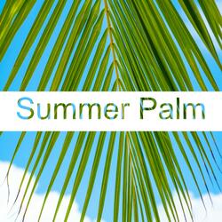 Summer Palm